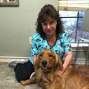 Pet Care Clinic Texarkana, AR Care Pet Clinic Texarkana